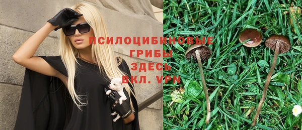 ПСИЛОЦИБИНОВЫЕ ГРИБЫ Алексин