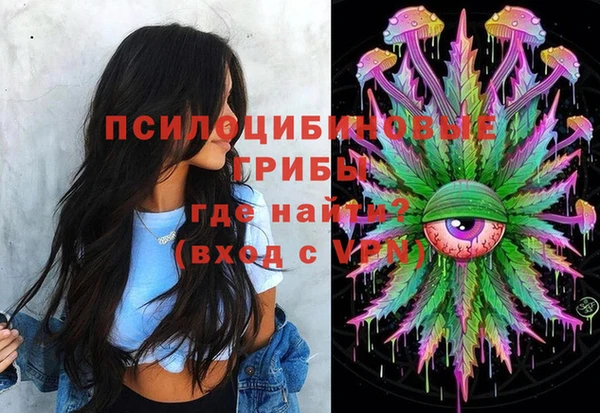 ПСИЛОЦИБИНОВЫЕ ГРИБЫ Алексин
